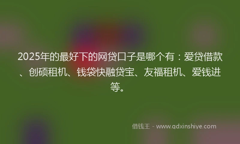 2025年的最好下的网贷口子是哪个有：爱贷借款、创硕租机、钱袋快融贷宝、友福租机、爱钱进等。