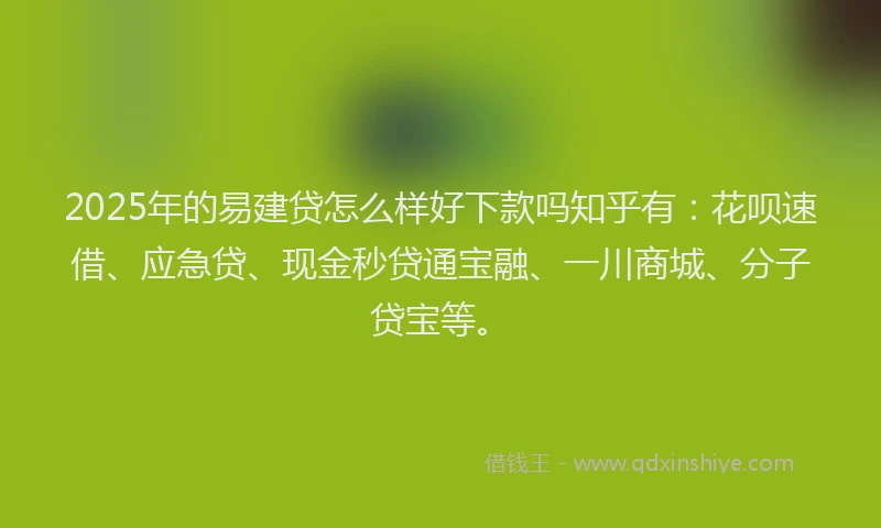 2025年的易建贷怎么样好下款吗知乎有：花呗速借、应急贷、现金秒贷通宝融、一川商城、分子贷宝等。