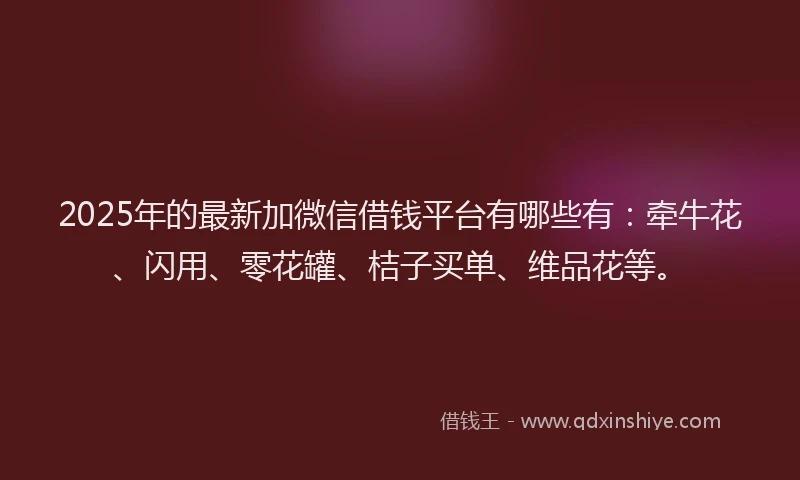 2025年的最新加微信借钱平台有哪些有：牵牛花、闪用、零花罐、桔子买单、维品花等。
