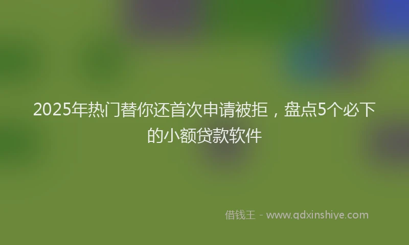 2025年热门替你还首次申请被拒，盘点5个必下的小额贷款软件