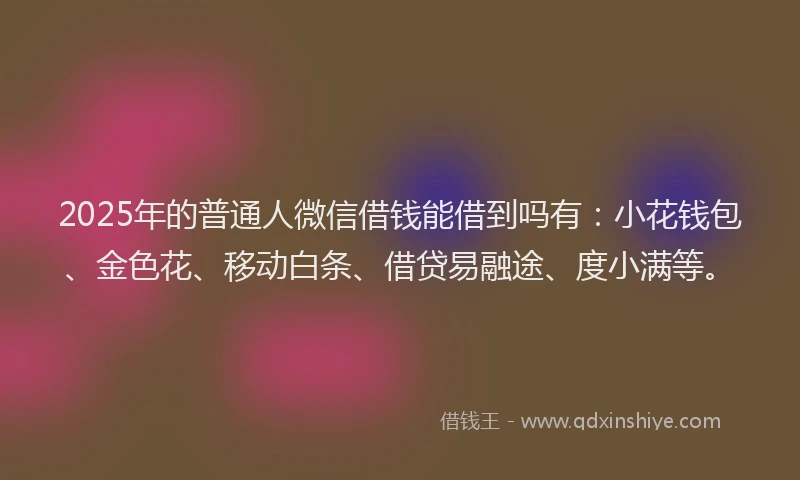 2025年的普通人微信借钱能借到吗有：小花钱包、金色花、移动白条、借贷易融途、度小满等。