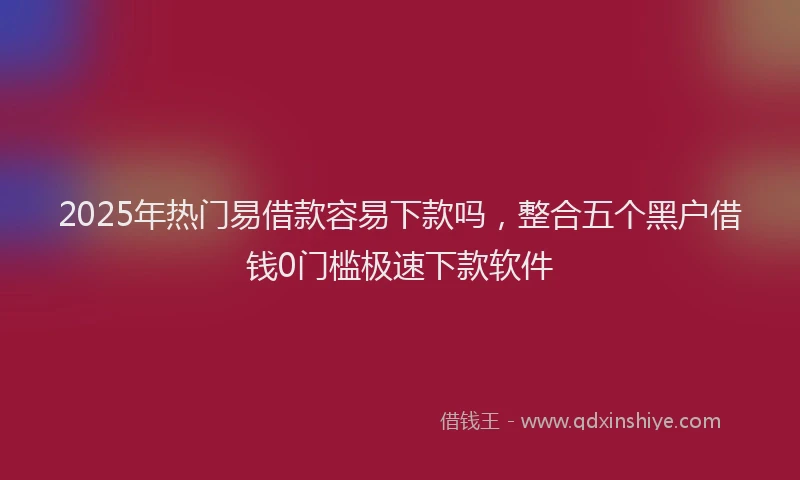 2025年热门易借款容易下款吗，整合五个黑户借钱0门槛极速下款软件