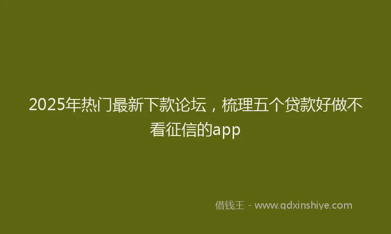 2025年热门最新下款论坛，梳理五个贷款好做不看征信的app