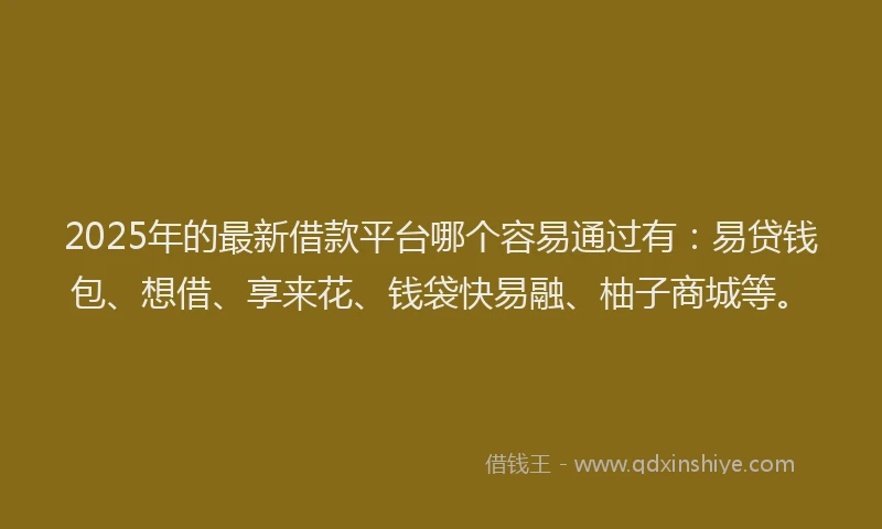 2025年的最新借款平台哪个容易通过有：易贷钱包、想借、享来花、钱袋快易融、柚子商城等。