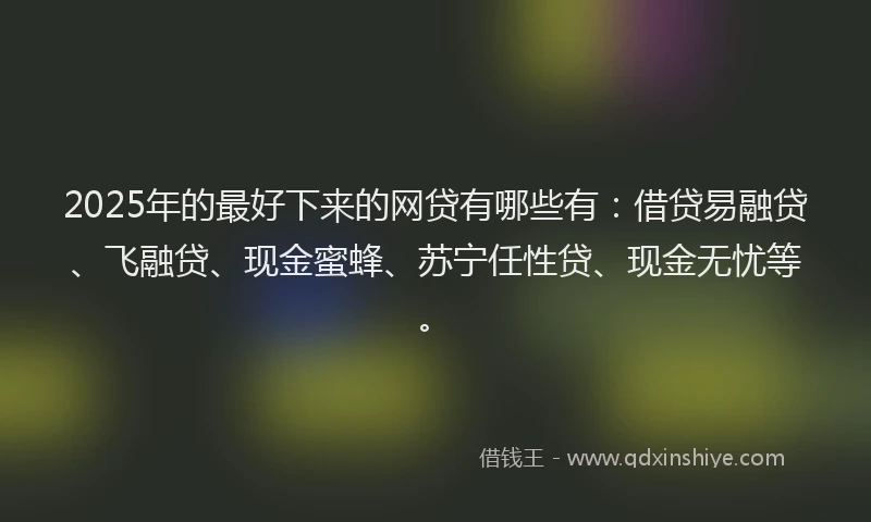 2025年的最好下来的网贷有哪些有：借贷易融贷、飞融贷、现金蜜蜂、苏宁任性贷、现金无忧等。