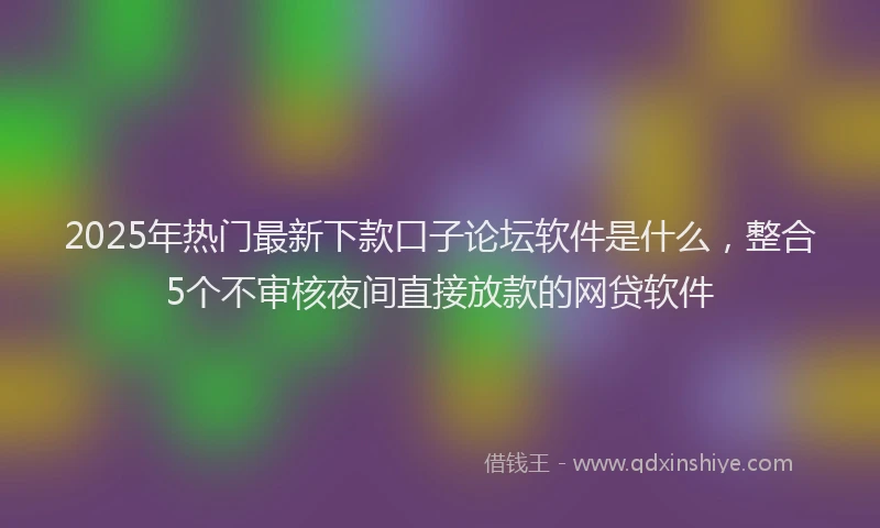 2025年热门最新下款口子论坛软件是什么，整合5个不审核夜间直接放款的网贷软件