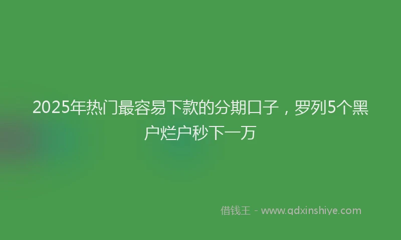 2025年热门最容易下款的分期口子，罗列5个黑户烂户秒下一万