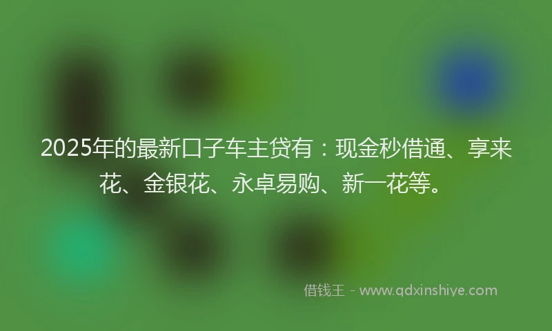 2025年的最新口子车主贷有：现金秒借通、享来花、金银花、永卓易购、新一花等。