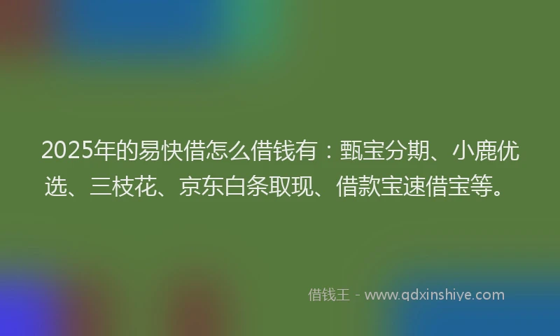 2025年的易快借怎么借钱有：甄宝分期、小鹿优选、三枝花、京东白条取现、借款宝速借宝等。