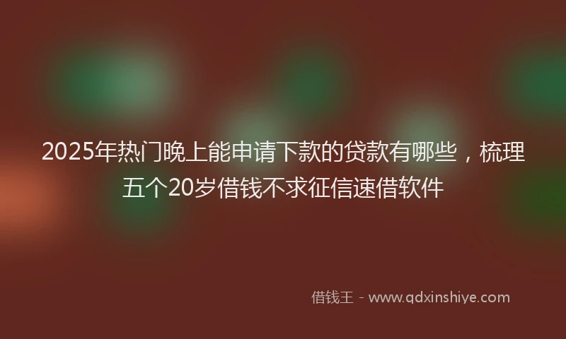 2025年热门晚上能申请下款的贷款有哪些，梳理五个20岁借钱不求征信速借软件