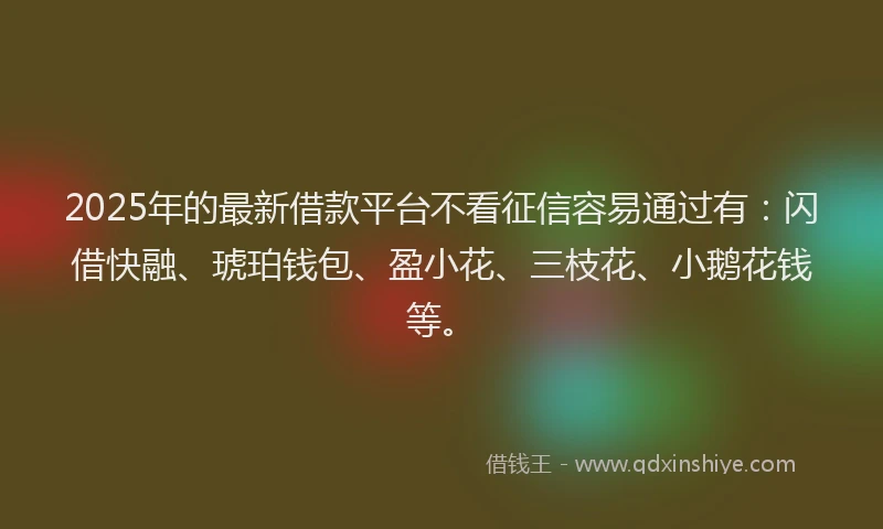 2025年的最新借款平台不看征信容易通过有：闪借快融、琥珀钱包、盈小花、三枝花、小鹅花钱等。