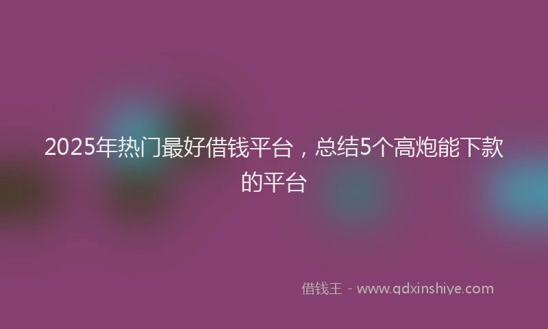2025年热门最好借钱平台，总结5个高炮能下款的平台