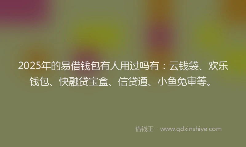2025年的易借钱包有人用过吗有：云钱袋、欢乐钱包、快融贷宝盒、信贷通、小鱼免审等。