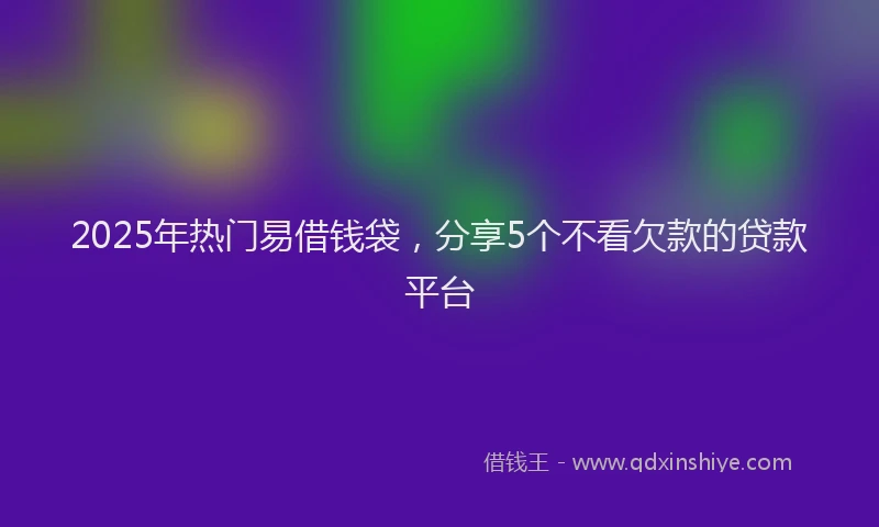 2025年热门易借钱袋，分享5个不看欠款的贷款平台