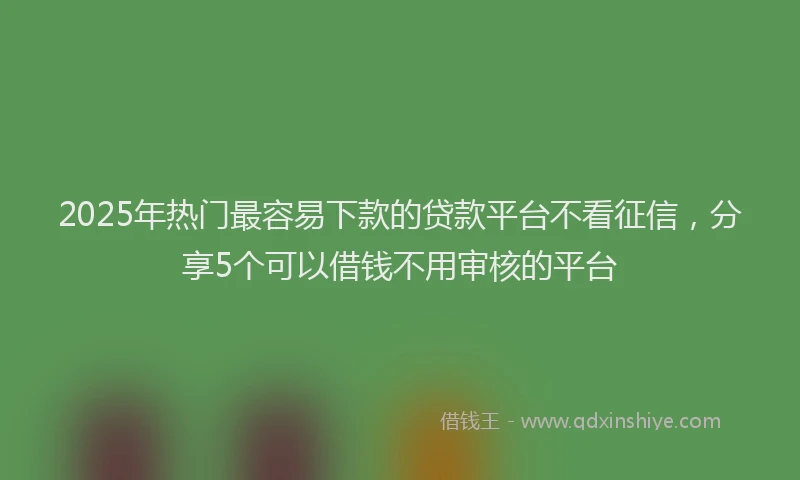 2025年热门最容易下款的贷款平台不看征信，分享5个可以借钱不用审核的平台
