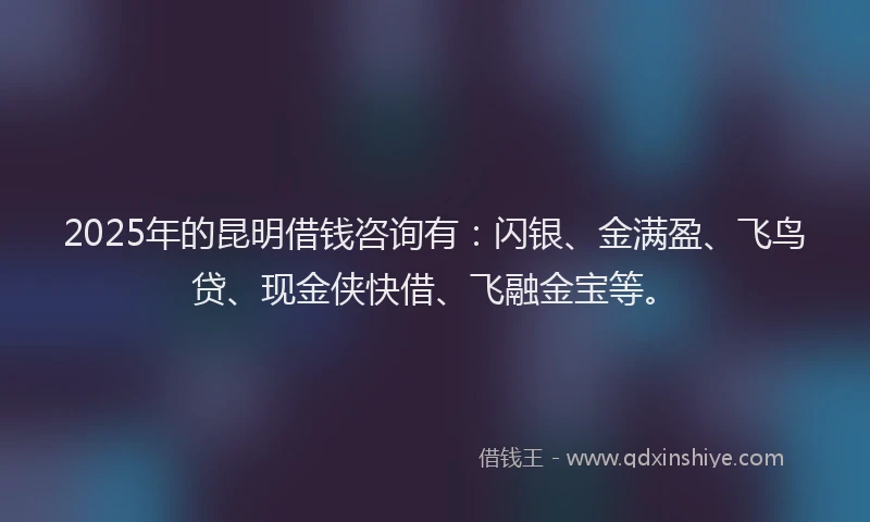 2025年的昆明借钱咨询有：闪银、金满盈、飞鸟贷、现金侠快借、飞融金宝等。