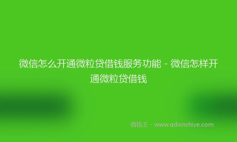 微信怎么开通微粒贷借钱服务功能 - 微信怎样开通微粒贷借钱
