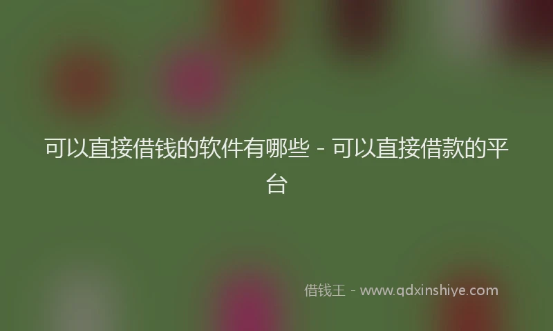 可以直接借钱的软件有哪些 - 可以直接借款的平台