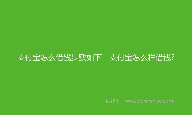 支付宝怎么借钱步骤如下 - 支付宝怎么样借钱?
