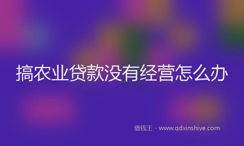 搞农业贷款没有经营怎么办