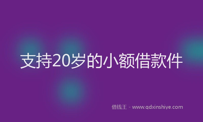 支持20岁的小额借款件