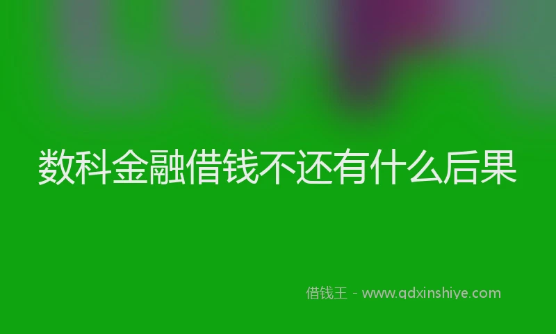 数科金融借钱不还有什么后果