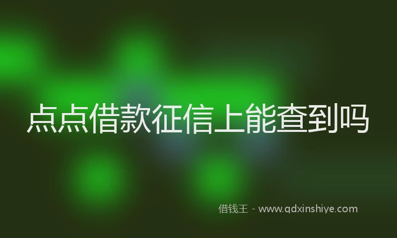 点点借款征信上能查到吗