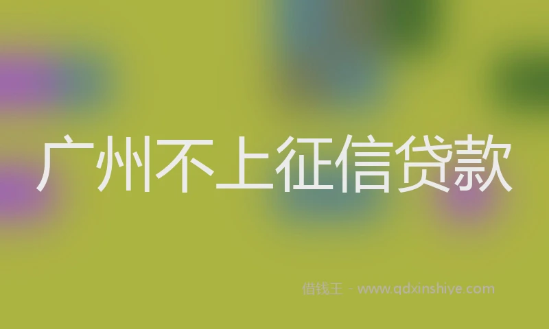 广州不上征信贷款