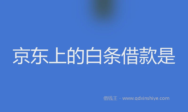 京东上的白条借款是
