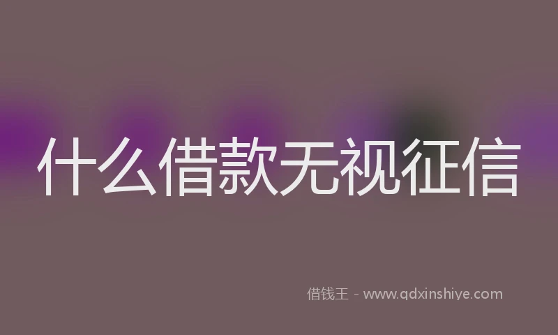 什么借款无视征信