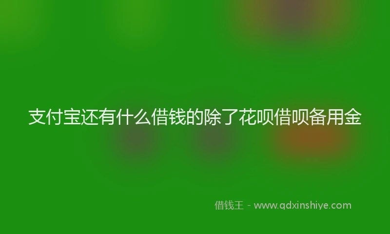 支付宝还有什么借钱的除了花呗借呗备用金