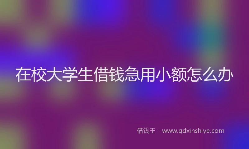 在校大学生借钱急用小额怎么办
