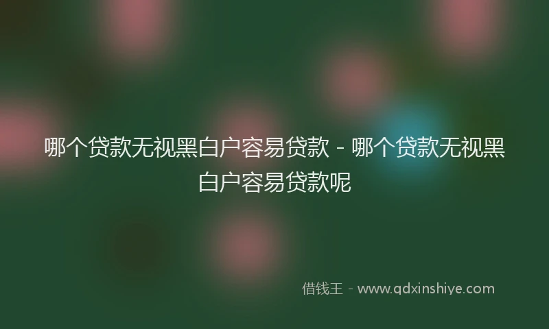 哪个贷款无视黑白户容易贷款 - 哪个贷款无视黑白户容易贷款呢