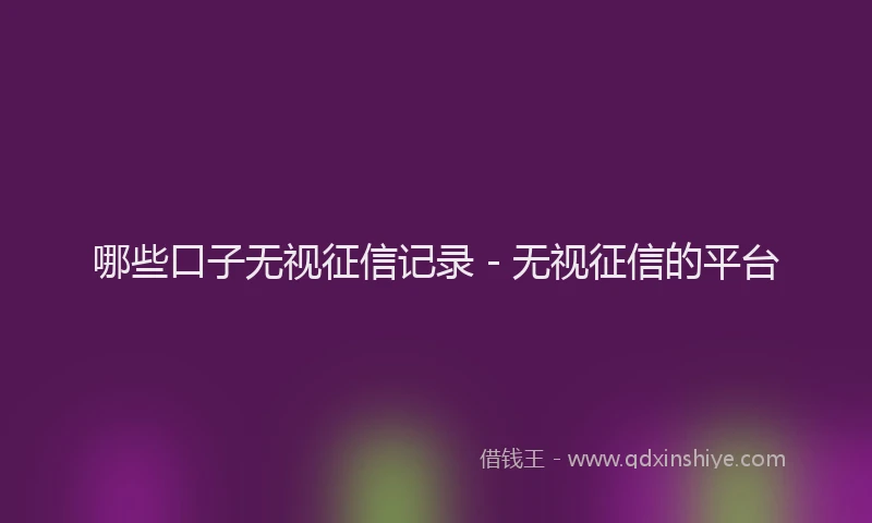 哪些口子无视征信记录 - 无视征信的平台