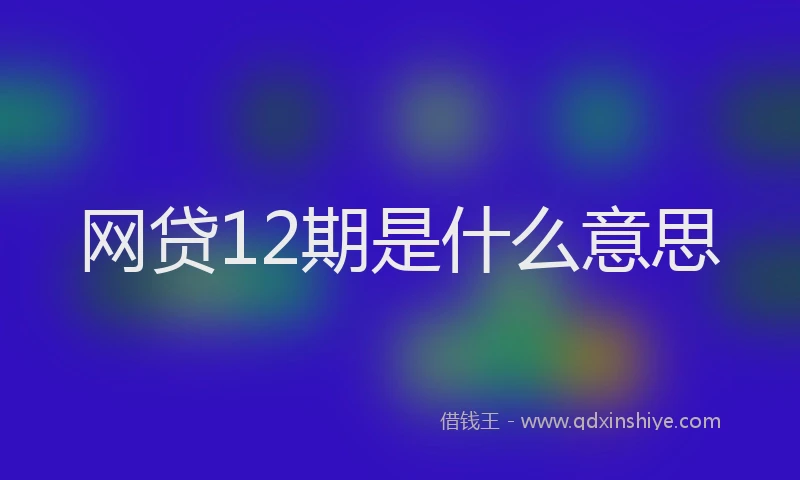 网贷12期是什么意思