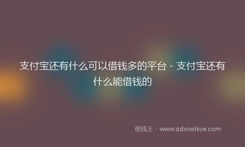 支付宝还有什么可以借钱多的平台 - 支付宝还有什么能借钱的