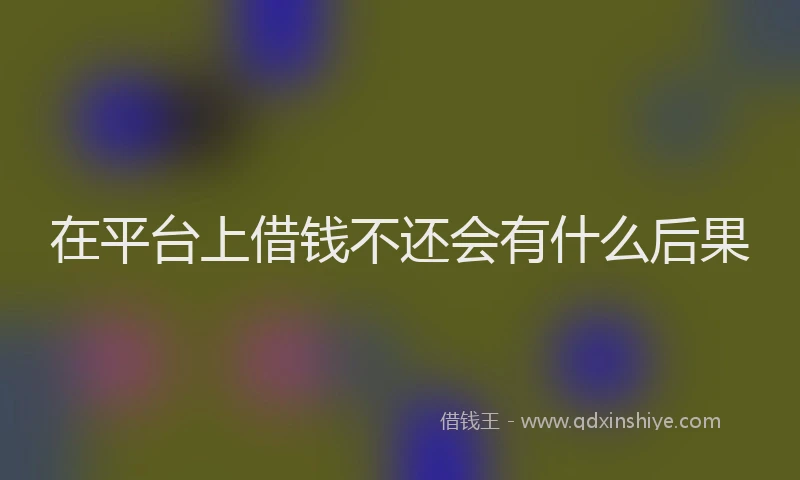 在平台上借钱不还会有什么后果