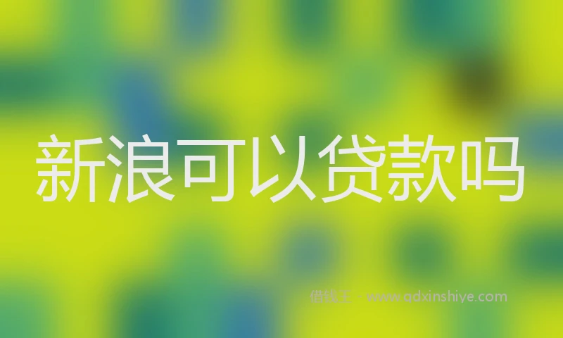 新浪可以贷款吗