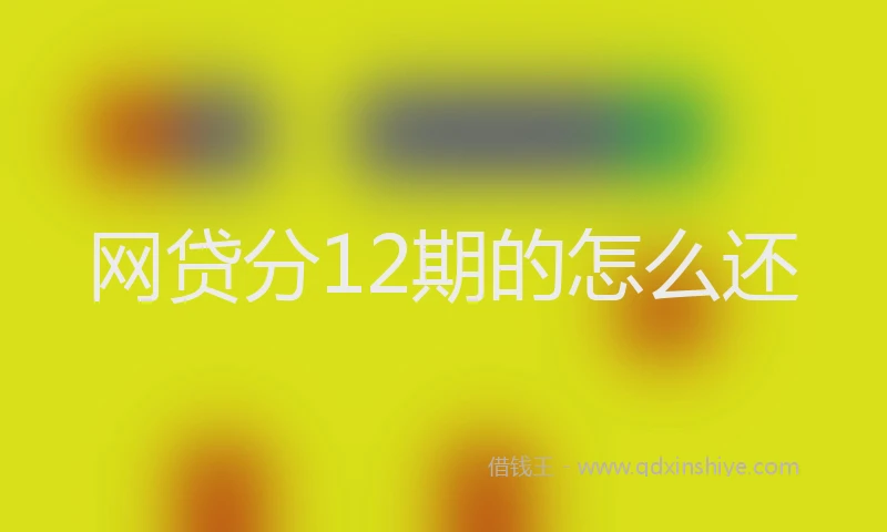 网贷分12期的怎么还