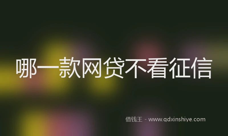 哪一款网贷不看征信