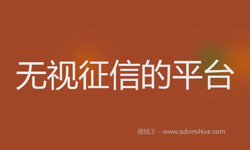 无视征信的平台