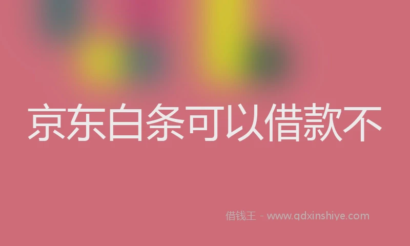 京东白条可以借款不