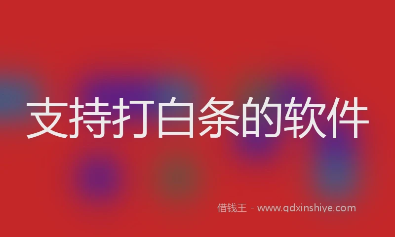 支持打白条的软件
