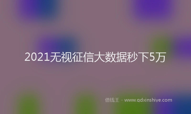 2021无视征信大数据秒下5万