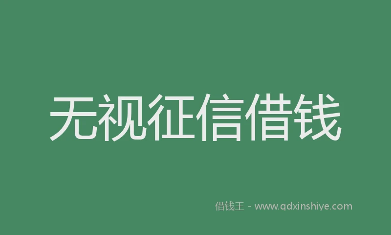无视征信借钱