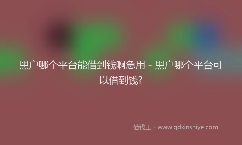 黑户哪个平台能借到钱啊急用 - 黑户哪个平台可以借到钱?