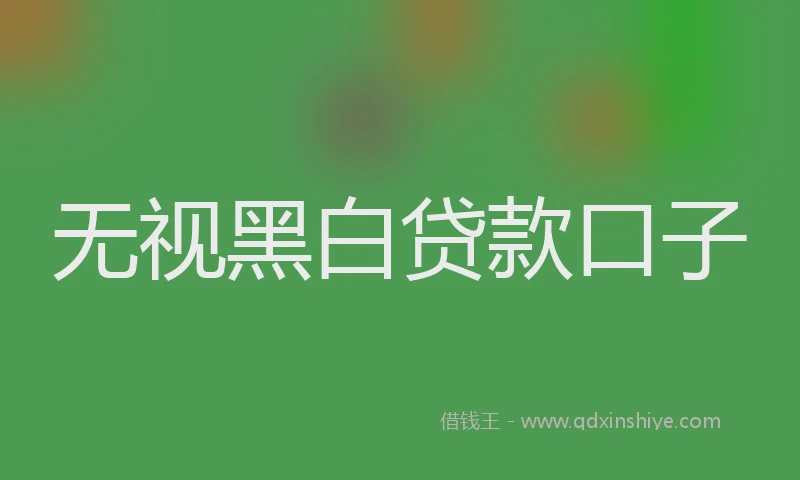 无视黑白贷款口子