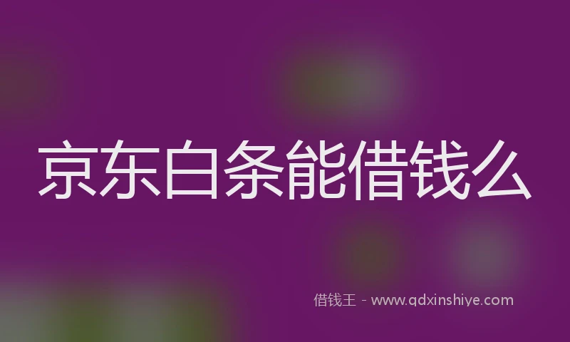 京东白条能借钱么