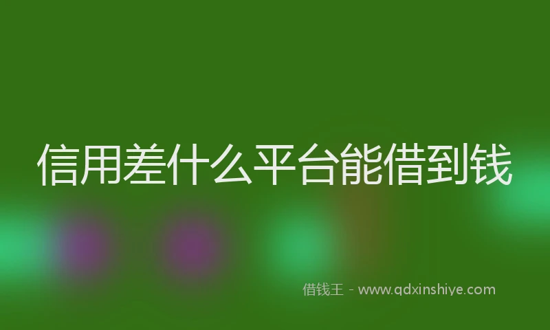 信用差什么平台能借到钱