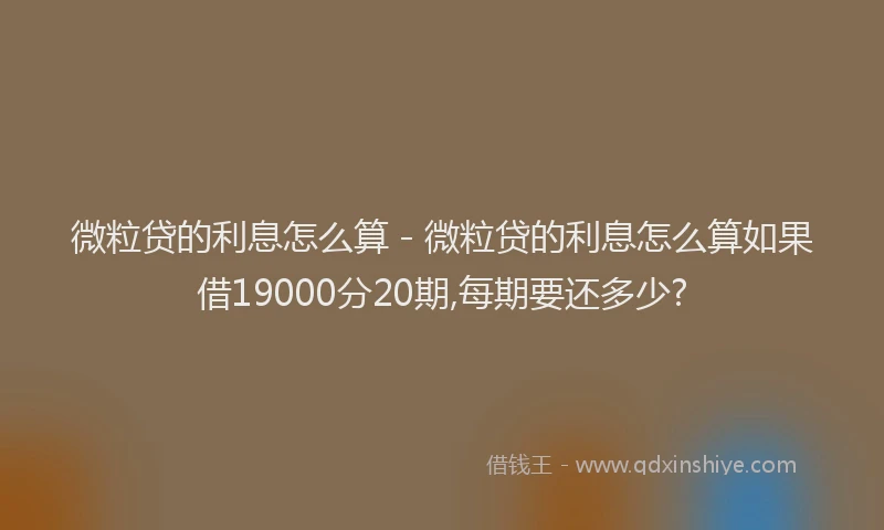 微粒贷的利息怎么算 - 微粒贷的利息怎么算如果借19000分20期,每期要还多少?